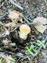 IMG_2813.jpeg