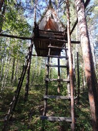 IMG_20260626_082727.jpg