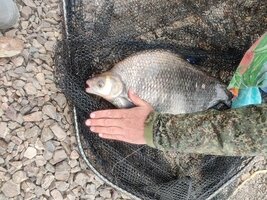 IMG_20260624_190542.jpg