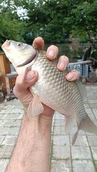 IMG20260627183625.jpg