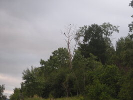 DSCF3361.JPG