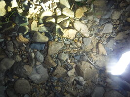 DSCF3369.JPG