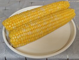 IMG_20260627_193243.jpg