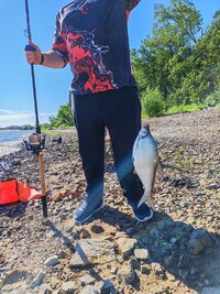 IMG_20260628_083741.jpg