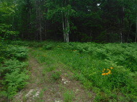 DSCF3392.JPG
