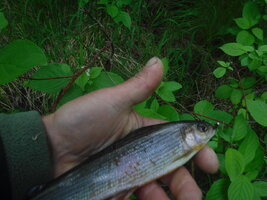 DSCF3384.JPG