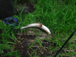 DSCF3381.JPG