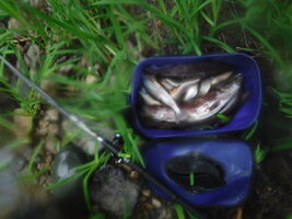 DSCF3388.JPG