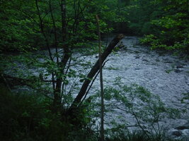 DSCF3332.JPG