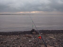 IMG_20260627_205905_499.jpg