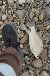 IMG_3006.jpeg