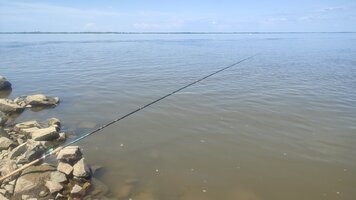 IMG_20260630_123515.jpg