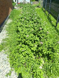 IMG_20260630_133127.jpg