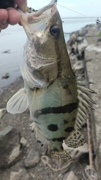 IMG_20260630_080233_866.jpg
