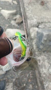 IMG_20260630_080221_821.jpg