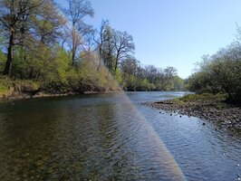 IMG_20260513_082219.jpg