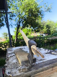 IMG_20260701_175431.jpg