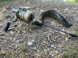 IMG_2191.jpeg