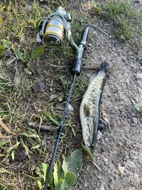 IMG_2188.jpeg