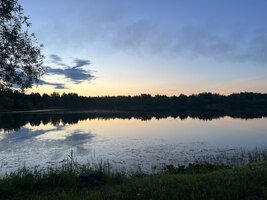 IMG_2199.jpeg