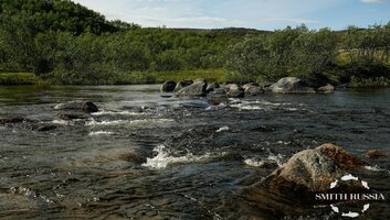_DSC9545.jpg