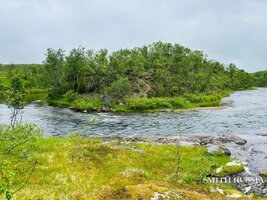 IMG_3504.jpg