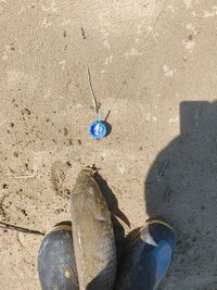 IMG_20260701_134754660.jpg
