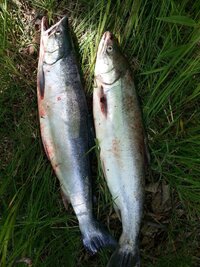 IMG-20171102-WA0002.jpg