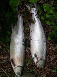 IMG-20171102-WA0001.jpg