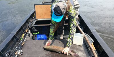 IMG_20260701_131134_611.jpg