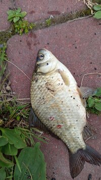 IMG_20260701_202236.jpg