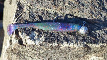 IMG_20260701_183919.jpg