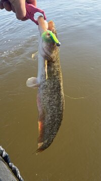 IMG_0171.jpeg