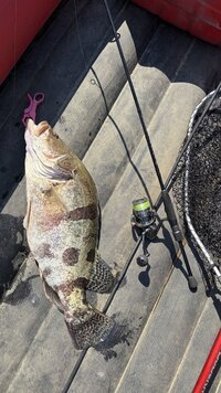 IMG_0176.jpeg