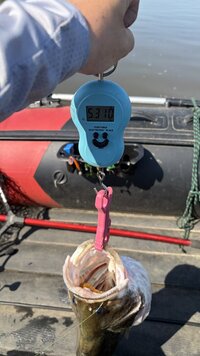 IMG_0177.jpeg