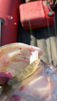 IMG_0173.jpeg
