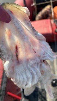 IMG_0174.jpeg