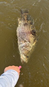 IMG_0181.jpeg