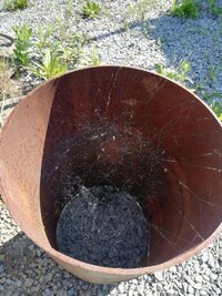 IMG_20260630_093607.jpg