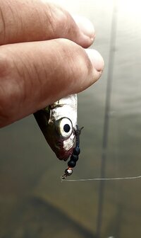 20260704_103129.jpg