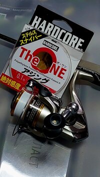 20260304_183724.jpg