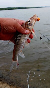 20260705_073925.jpg