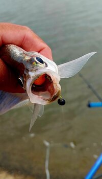 20260705_080641.jpg