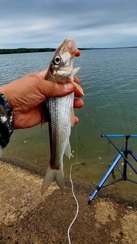 20260705_083738.jpg