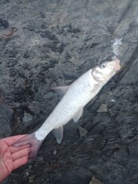 IMG_20260705_091222_688.jpg