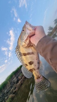 IMG_20260705_192751_387.jpg