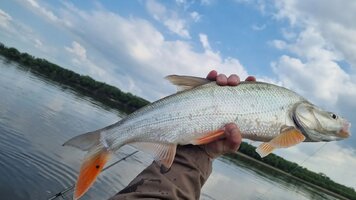 IMG_20260704_232157_521.jpg