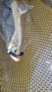 IMG_20260704_232157_506.jpg