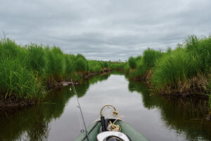 DSC06201.jpg