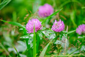 DSCF2832.jpg